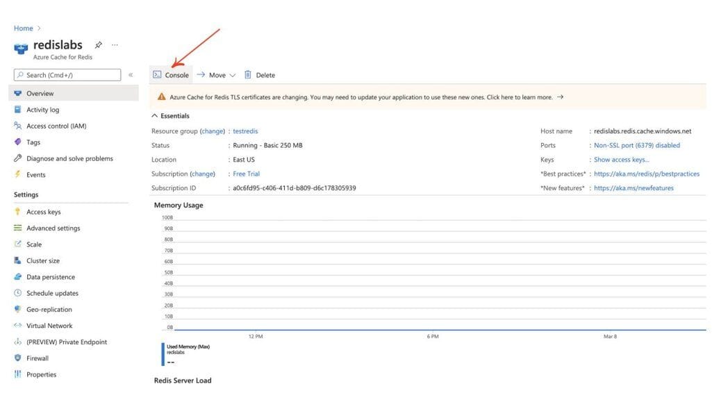 Finalizing the Redis cache setup in the Azure portal