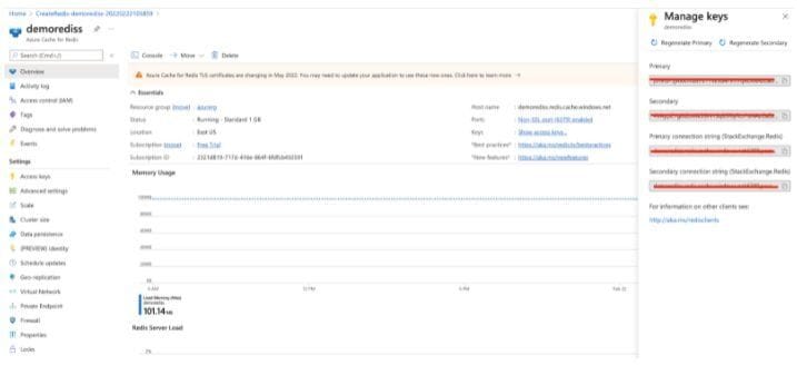 Resource group overview showing the newly deployed Redis and Function resources
