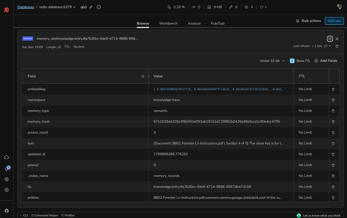 Redis Insight detail view of document chunk with embeddings