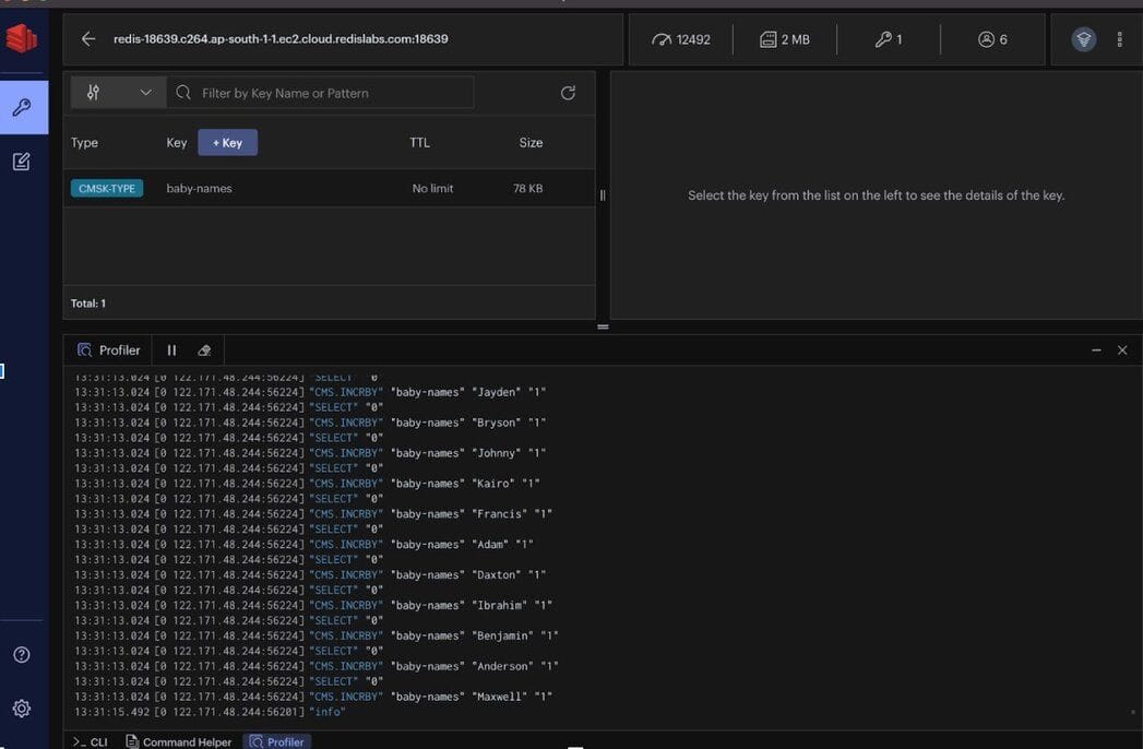 Running CMS.INFO and CMS.QUERY commands in Redis Insight