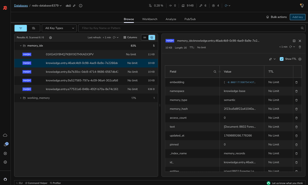Redis Insight showing processed document keys in knowledge base