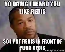 YO DAWG I HEARD YOU LIKE REDIS SO I PUT REDIS IN FRONT OF YOUR REDIS