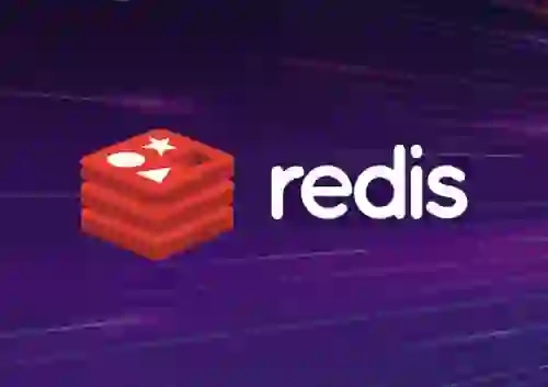 RedisJSON: Public Preview & Performance Benchmarking