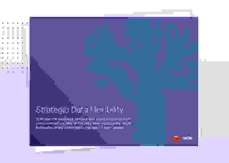 Redis White Paper | Strategic Data Flexibility